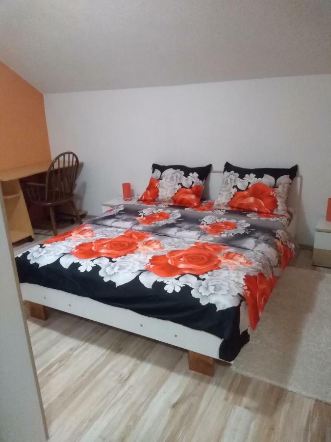 Apartman Franjicic Korenica Eksteriør billede
