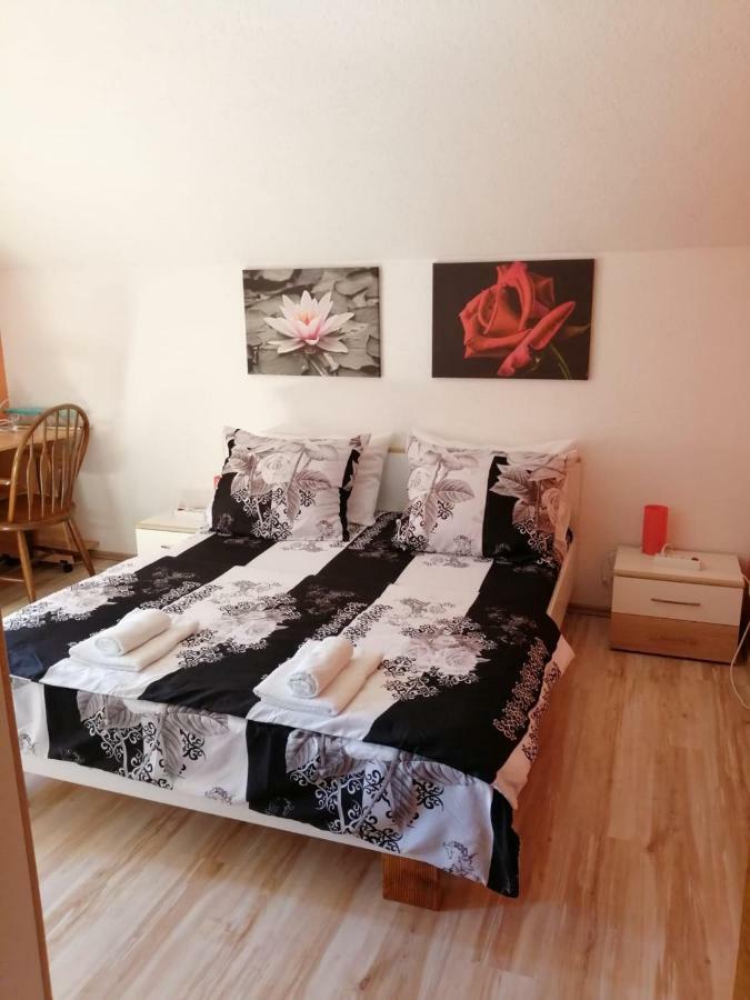 Apartman Franjicic Korenica Eksteriør billede